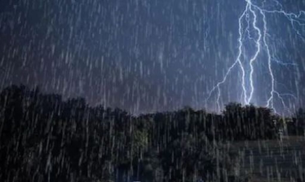 The Meteorological Department