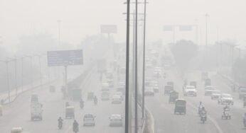 Mist Also Increases With Cold; Visibility Decreased In Delhi