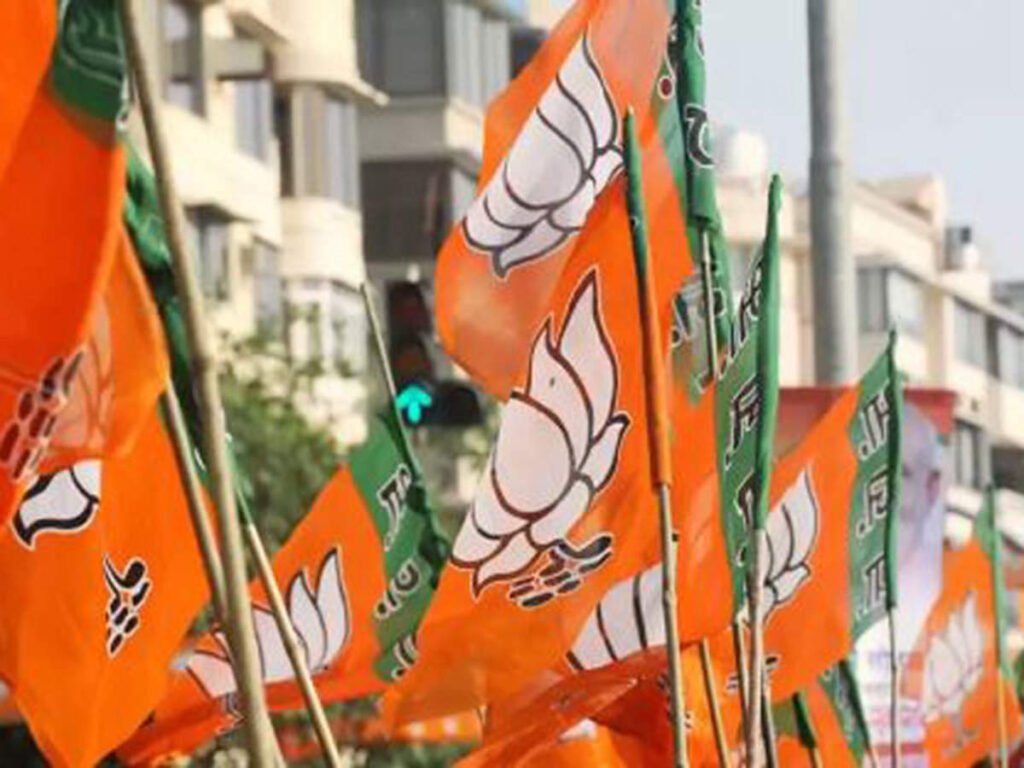 UP MLC Results 2020