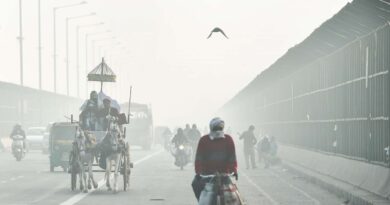 Severe cold in North India