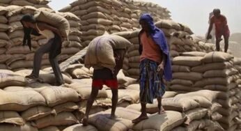 Food Subsidies Are Becoming Uncontrolled: Economic Survey