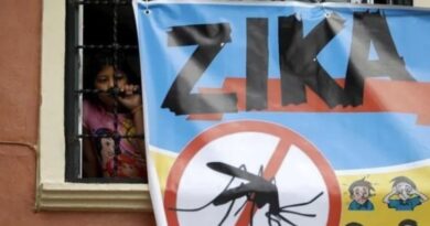 Rising Zika virus outbreak