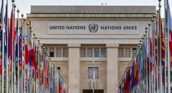 UN Committee To Review Representation Of Taliban