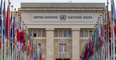 UN committee to review