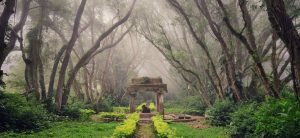 nandi hills