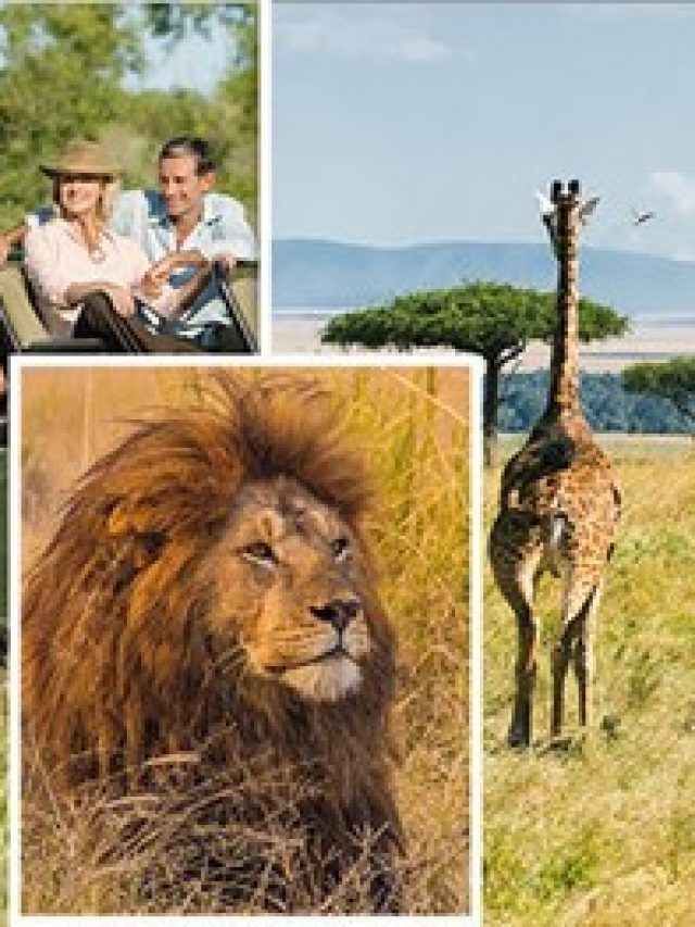 Best Safaris in Africa in 2022