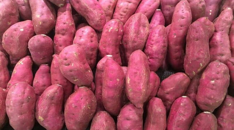 Sweet Potato Benefits: