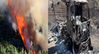 Are Pyromaniacs Behind Italy’s Overwhelming Fierce Blazes?