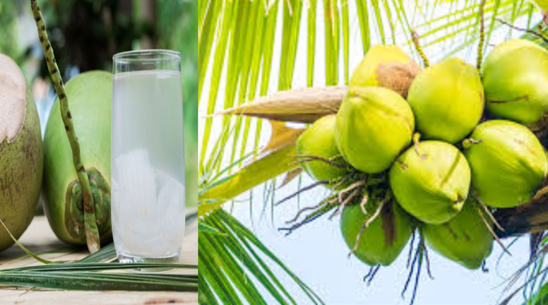Unlock Health Secrets: Discover the Incredible Benefits of Drinking Coconut Water