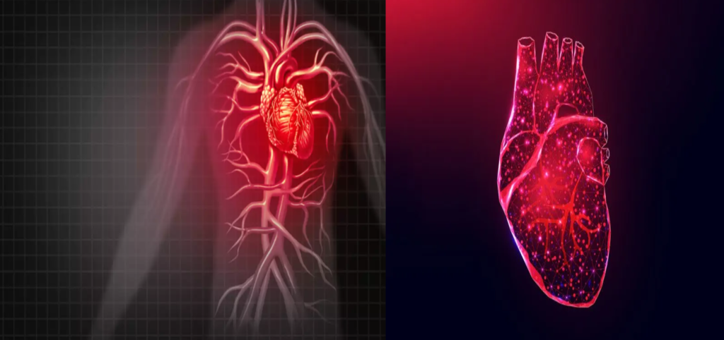 Differentiating Heart Attack, Cardiac Arrest, and Heart Failure: