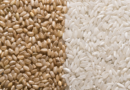 Brown Rice vs White Rice: Which is Better