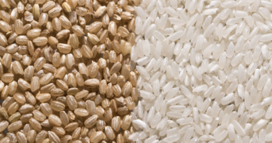 Brown Rice vs White Rice: Which is Better