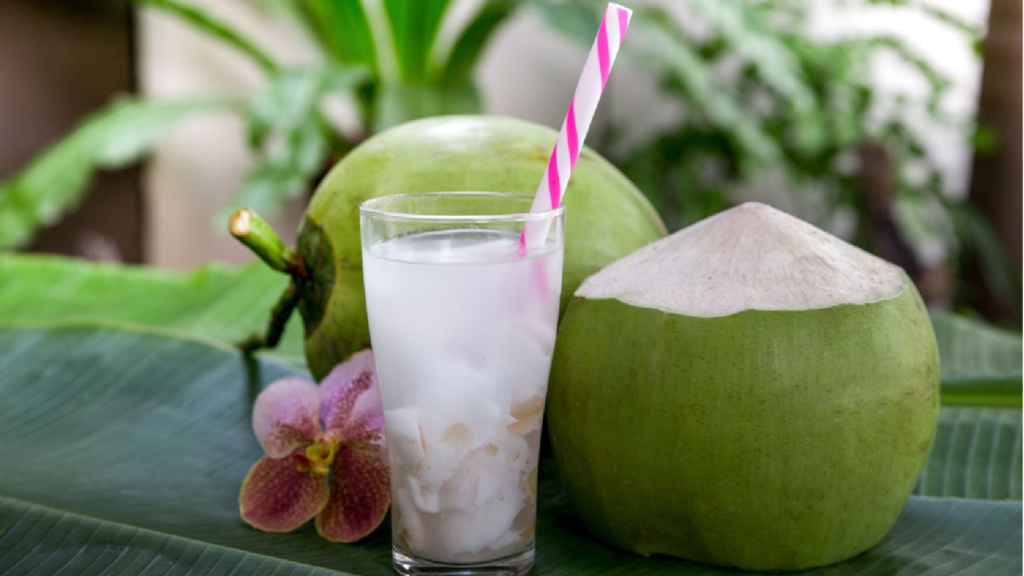 3 Refreshing Summer Coconut Water Drinks:
