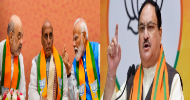Why BJP Struggled in the Lok Sabha Elections: