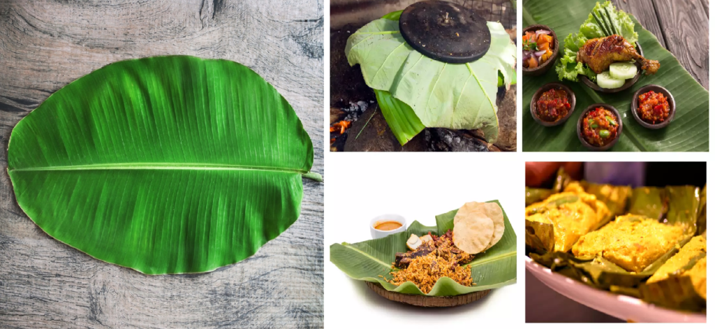 Banana Leaf Benefits: Improve Digestion