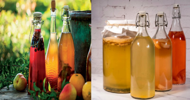 Exploring the Health Benefits of Kombucha Drinks