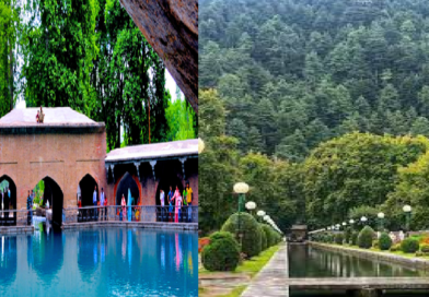 Exploring The Enchanting Beauty Of Verinag