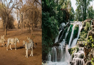 National Parks You Should Visit in Your Lifetime