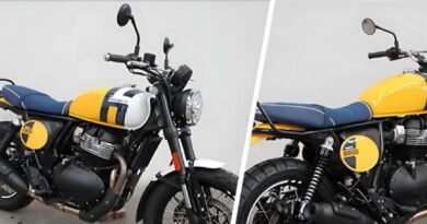 Royal Enfield Interceptor Bear 650: Leaked Photos & Features Ahead of November 2024 Launch