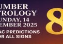 Number Astrology Predictions for Sunday, 14 December 2025: What Your Zodiac Sign Reveals Today