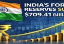 Forex Reserves Surge to $709.41 Billion: India Strengthens Capital Stability