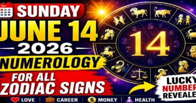 Sunday Numerology Horoscope for All Zodiac Signs – June 14, 2026: What Your Numbers Reveal About Love, Career, Money & Destiny