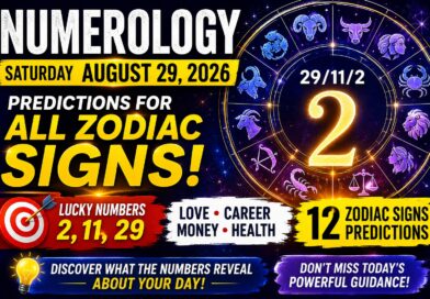 Saturday August 29 - 2026: Numerology for All Zodiac Signs | Love, Career, Money and Lucky Numbers
